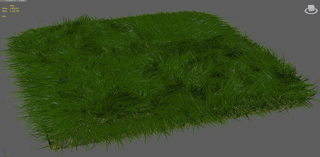 Grass 3D model_3