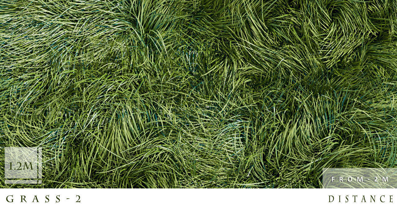 Grass 3D model_2