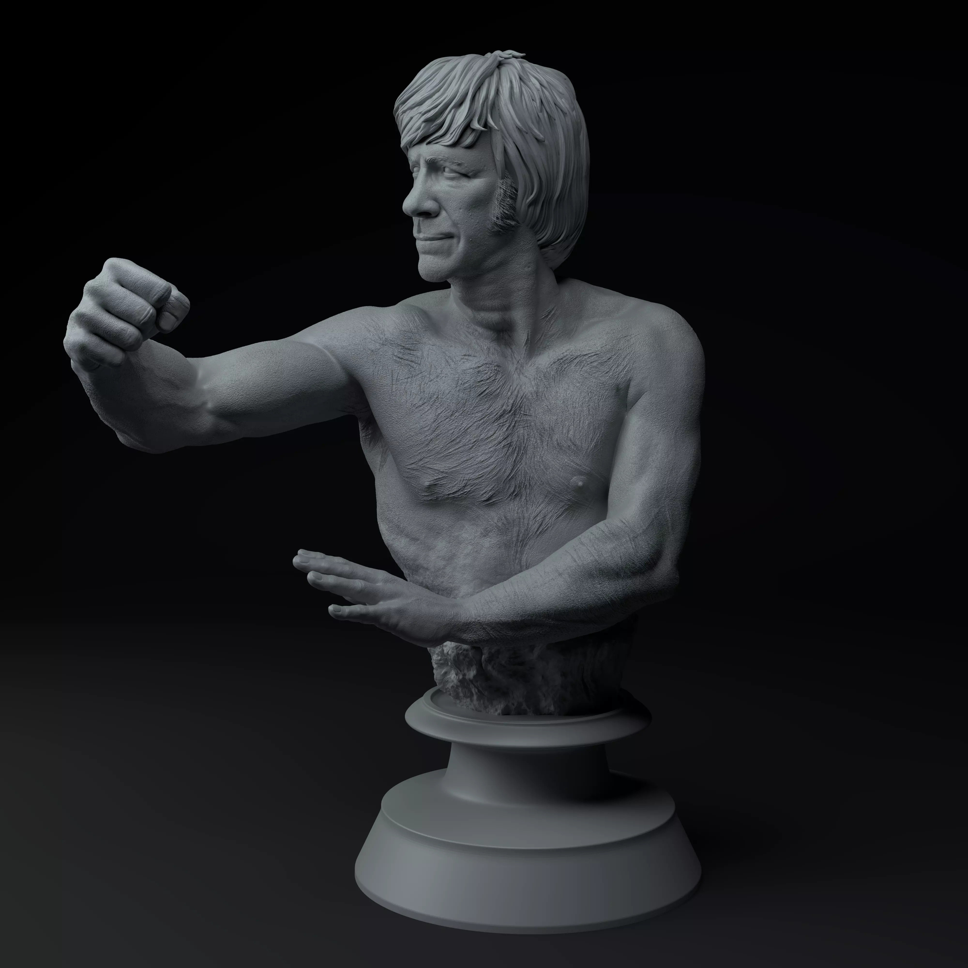 Chuck Norris Premium 3D Bust STL 3D print model