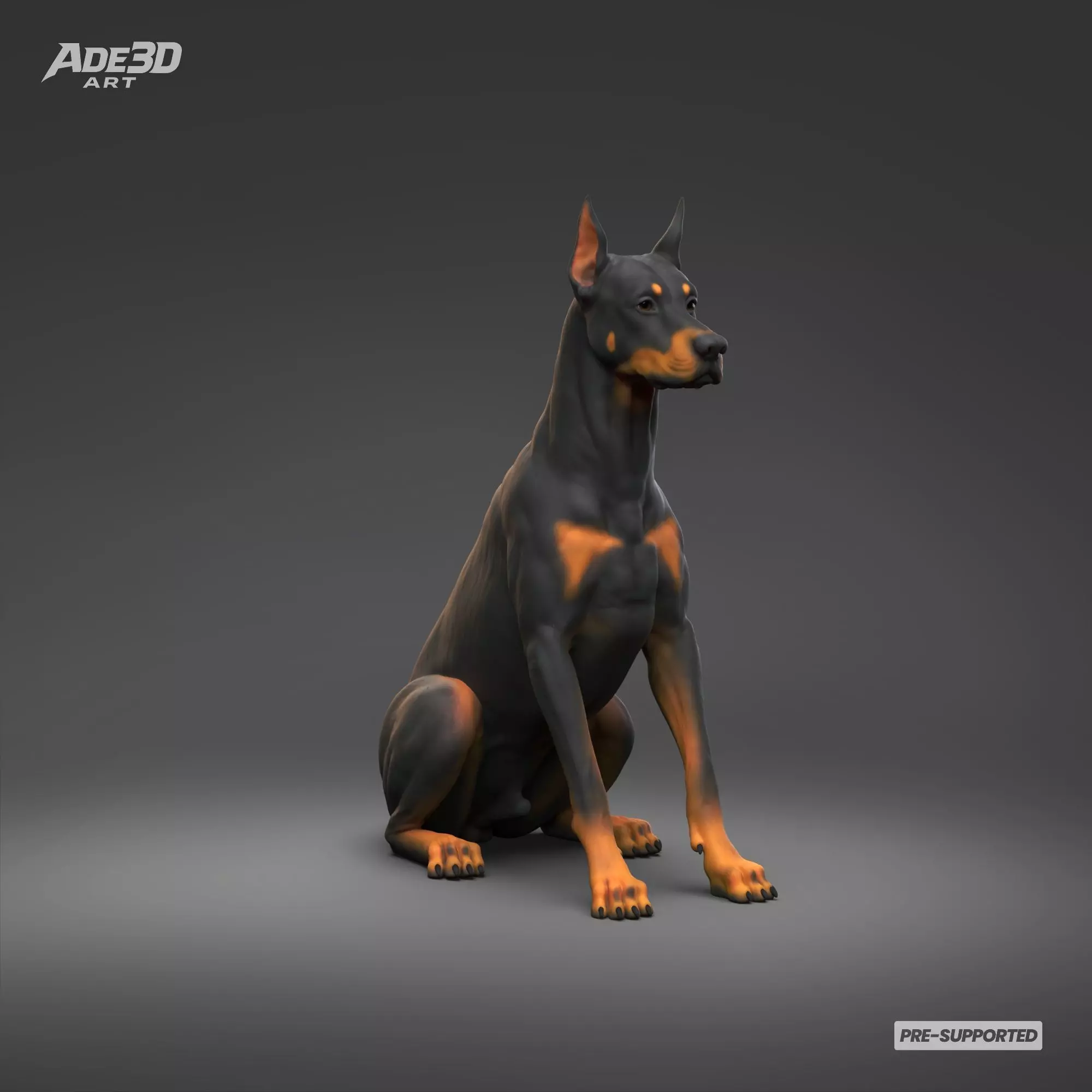 Doberman Pinscher Cropped Ears Docked Tail Pose 04 Free 3D print model