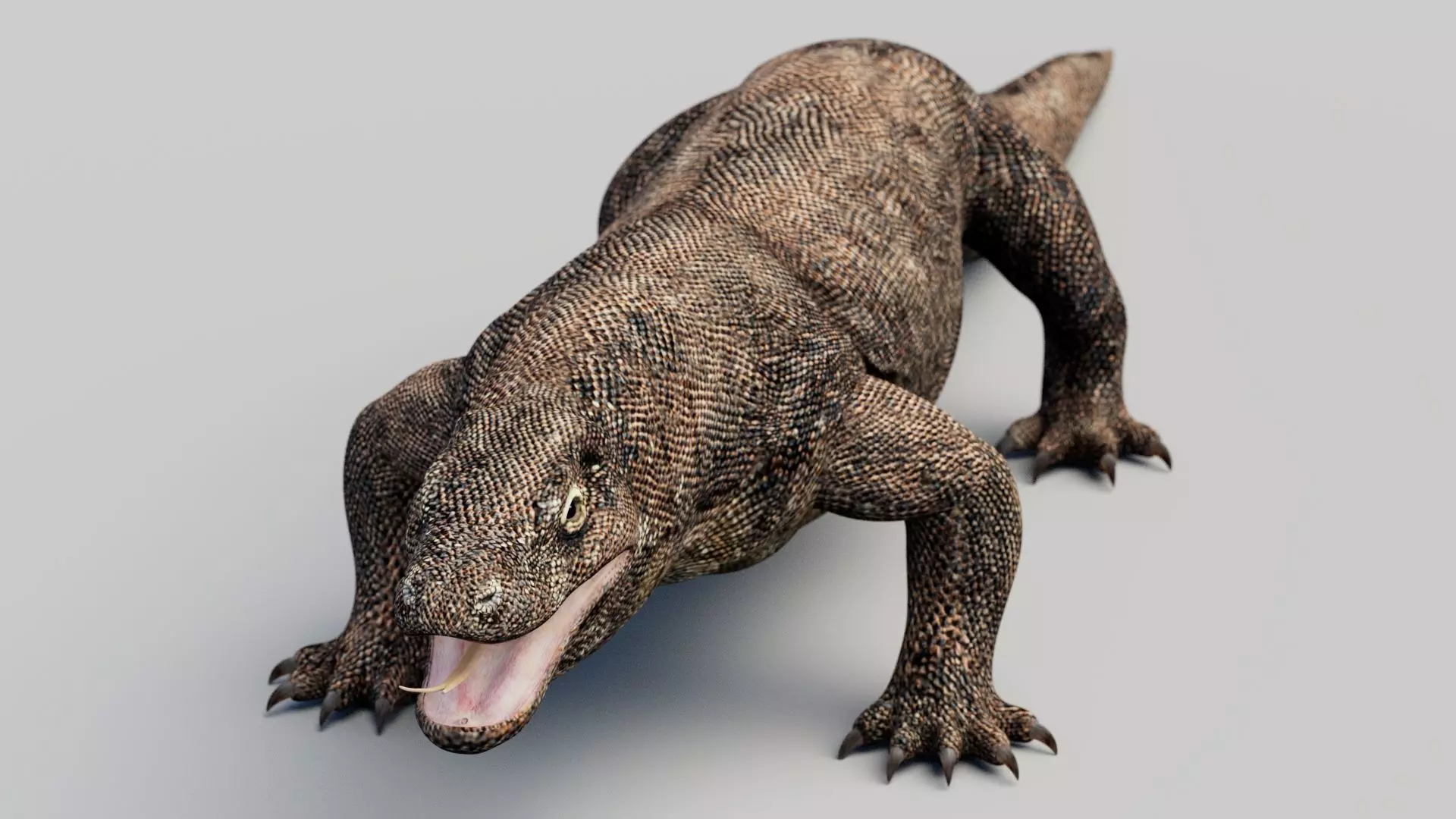 Komodo Dragon Low-poly 3D model