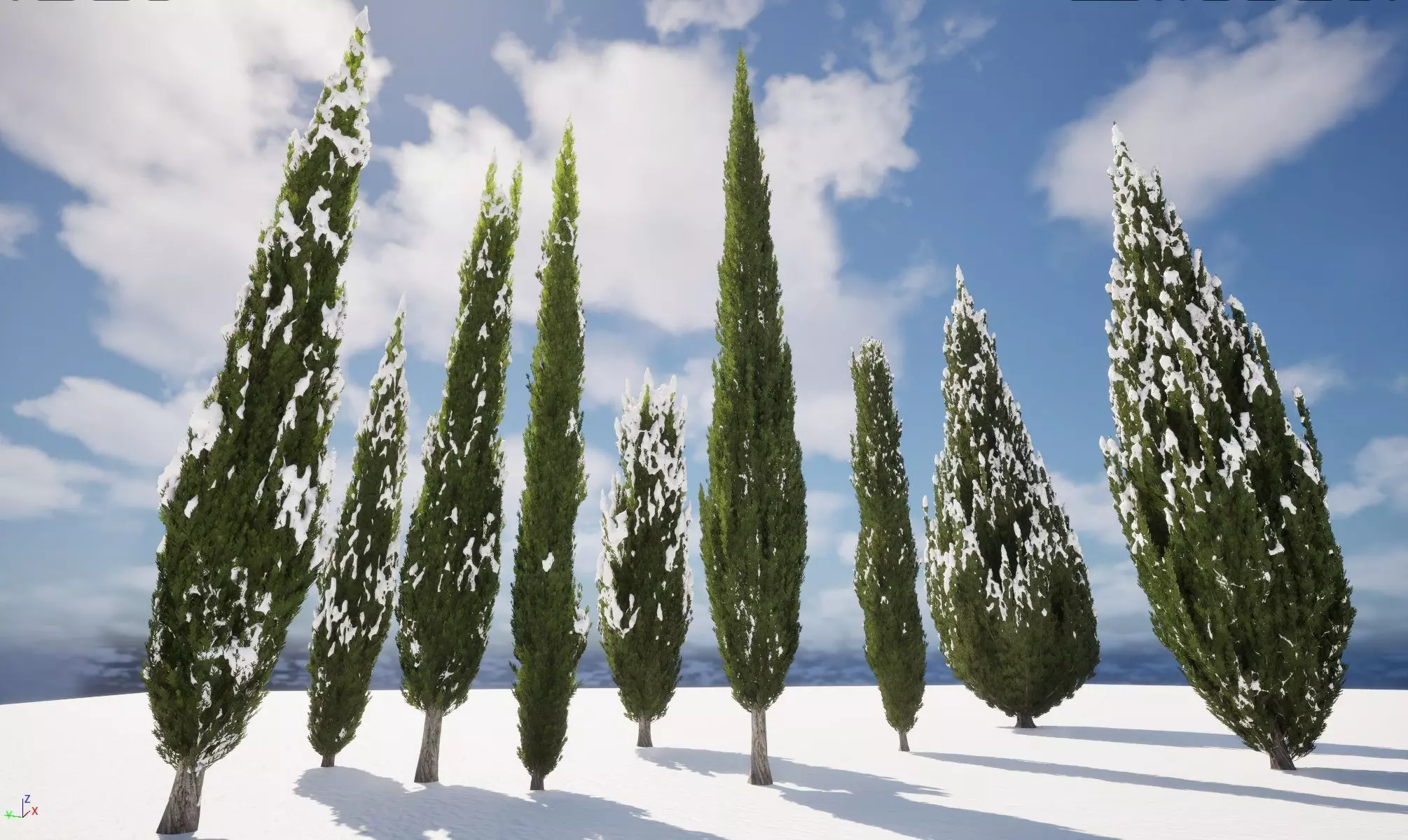 Winter Snow Plants -Cupressus sempervirens-Mediterranean cypress Low-poly 3D model