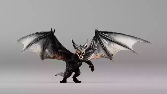 S00058 Black Dragon Front Pose