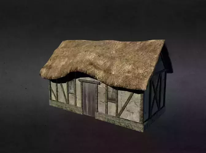 Medieval house