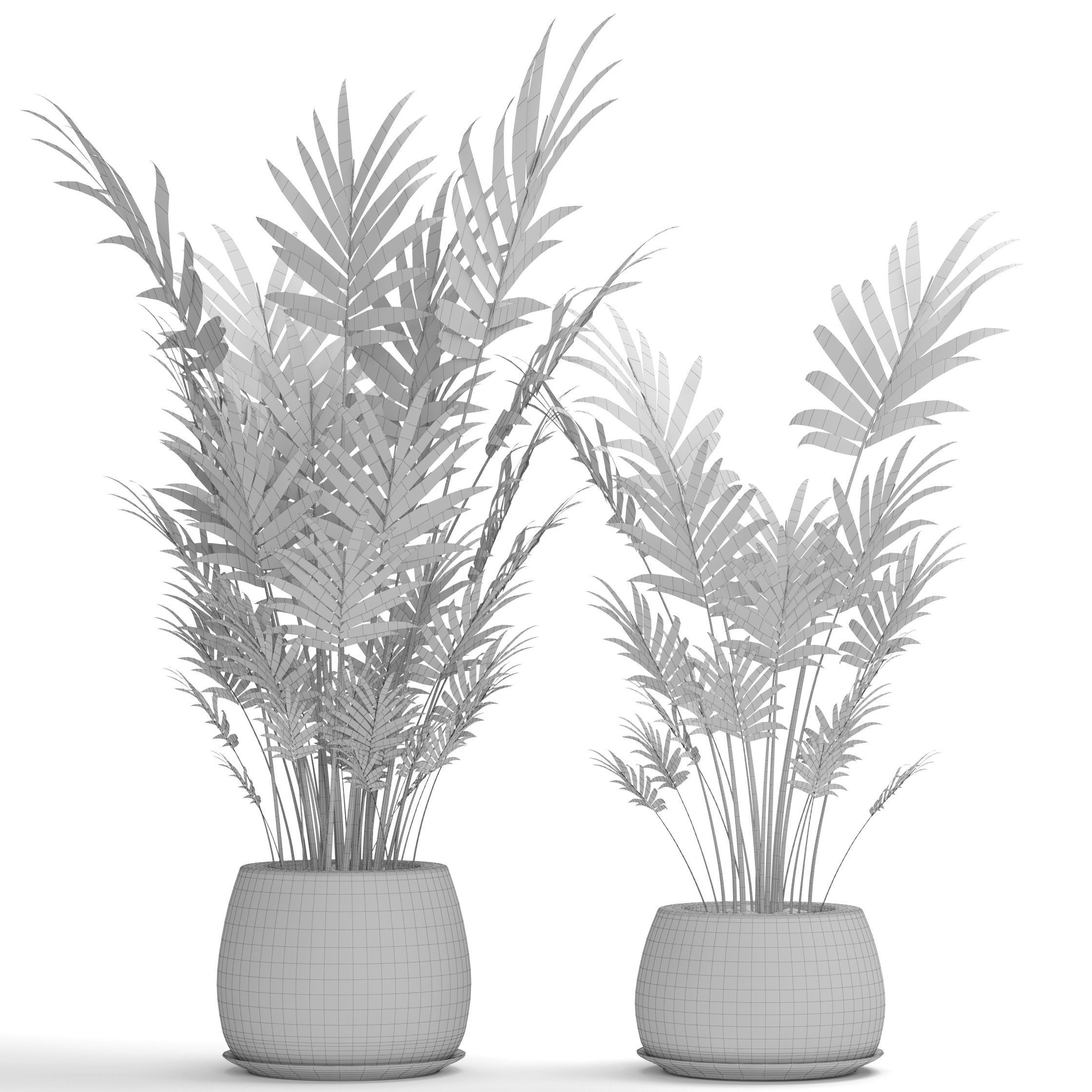 Palm collection 9 three plants in basket 3D model_7