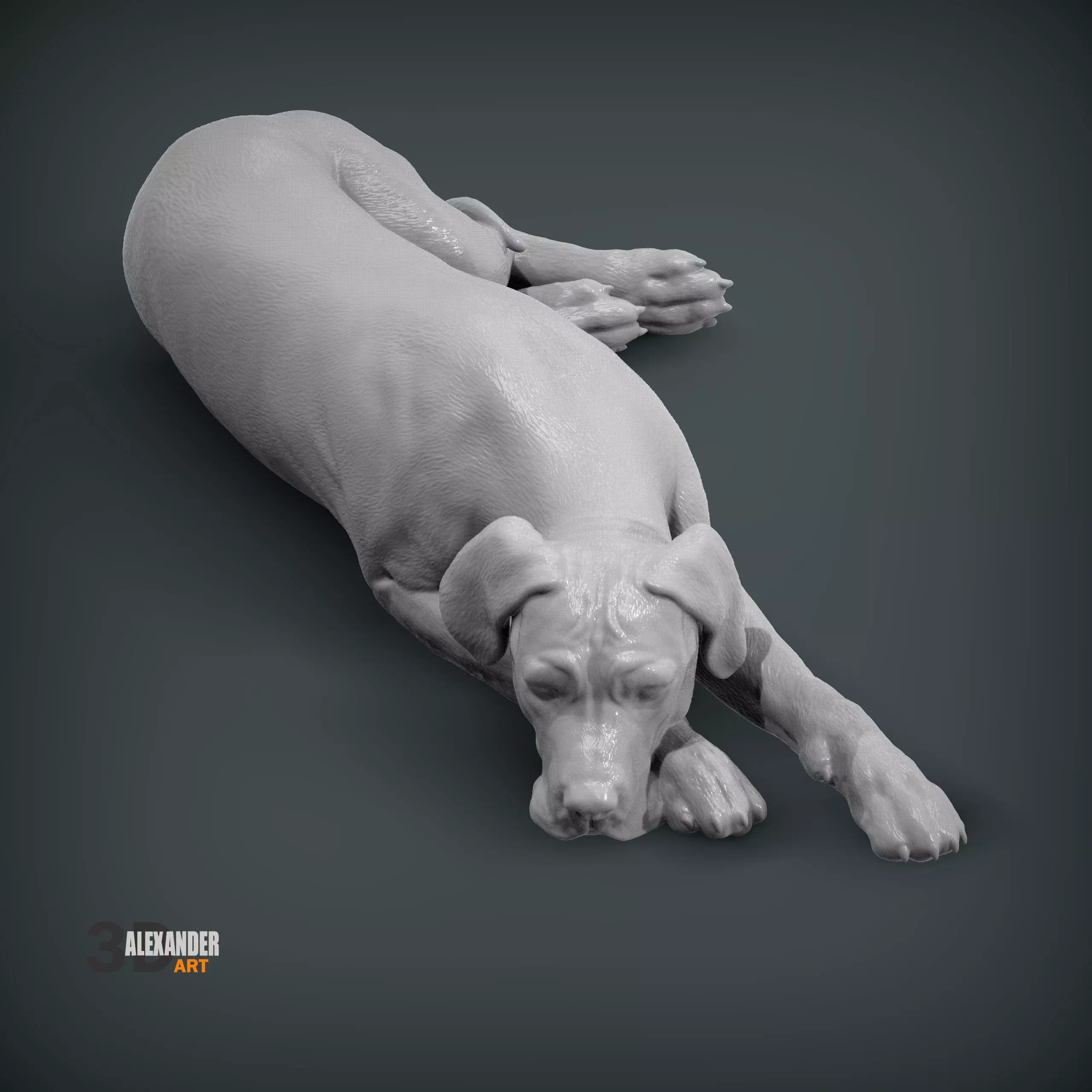 The Great Dane is sleeping 3D print model