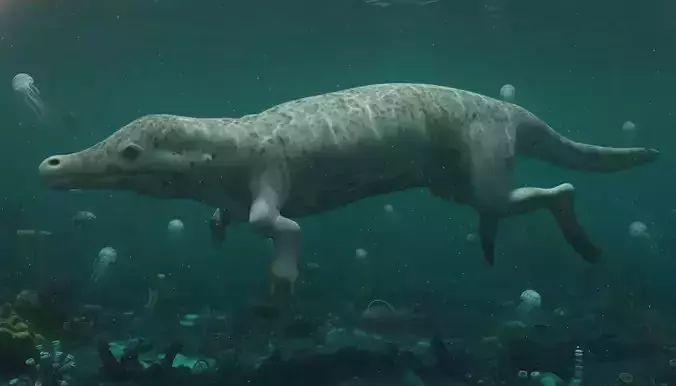 Scientifically accurate Protocetidae 3d model - Game Vfx 