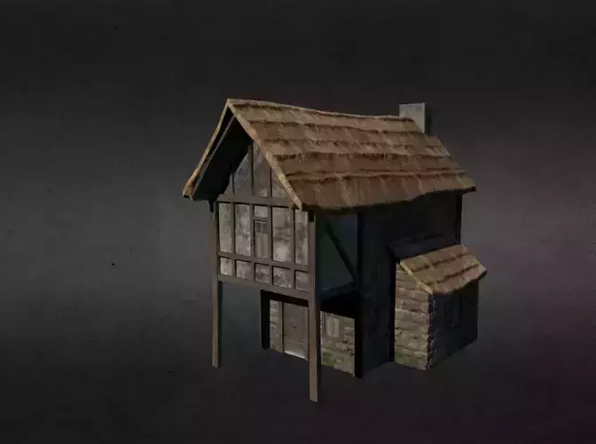 Medieval house