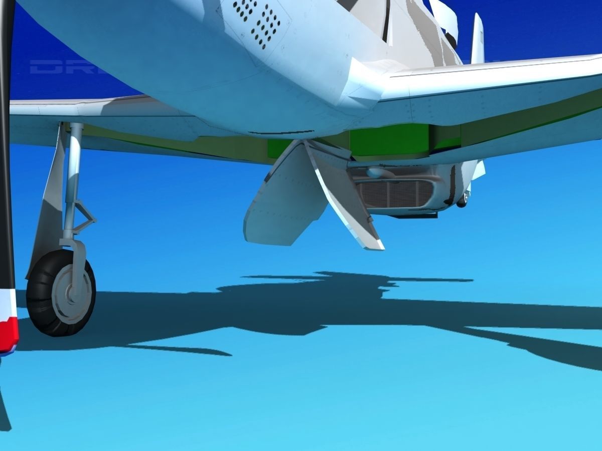 P-51 Mustang Sport BARDAHL 3D model_4