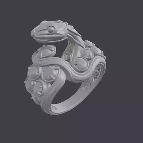Ring3