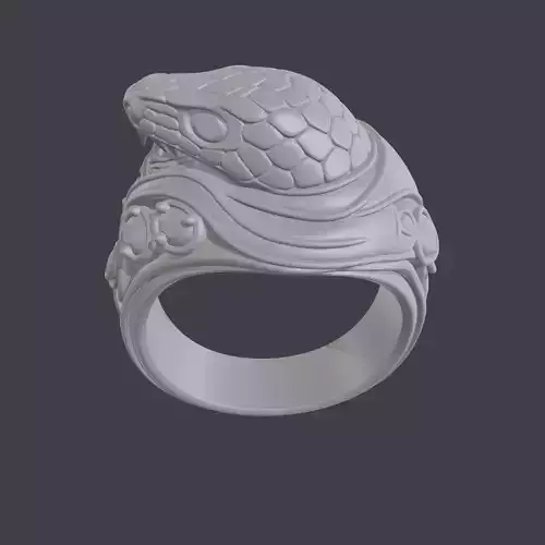 Ring2