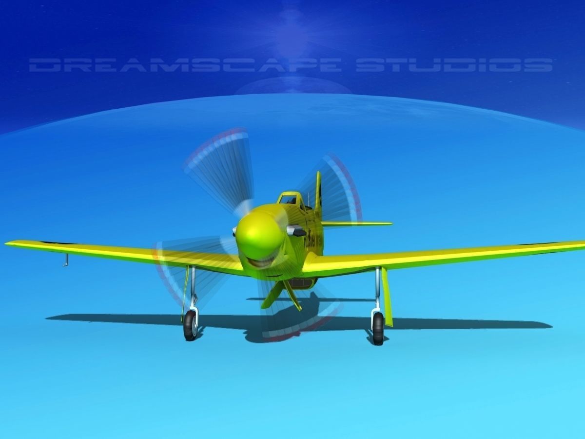 P-51 Mustang Sport Ole Yeller 3D model_1