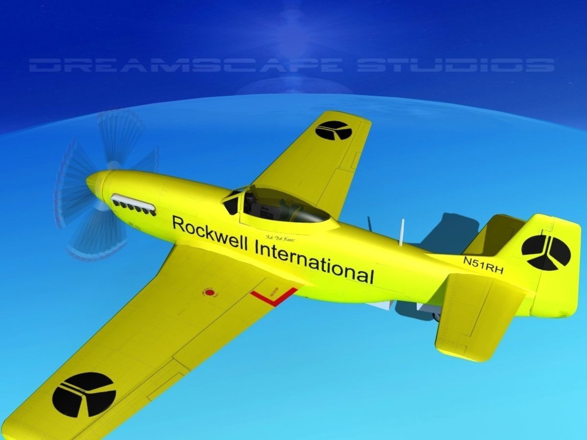 P-51 Mustang Sport Ole Yeller 3D model_8