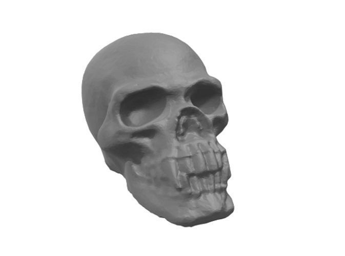 Vampire Skull 3D print model