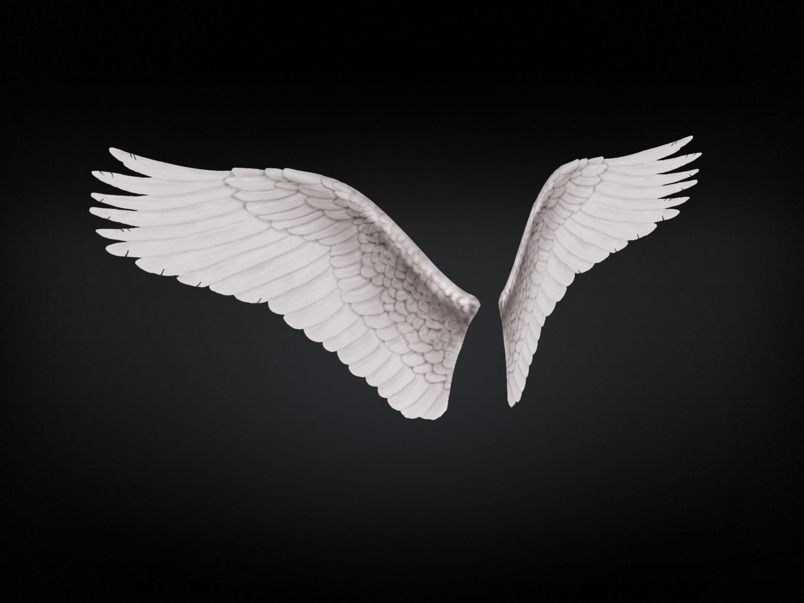 Angel Wings Type 3 Free low-poly 3D model_0