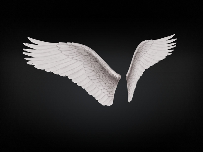 Angel Wings Type 3 Free low-poly 3D model
