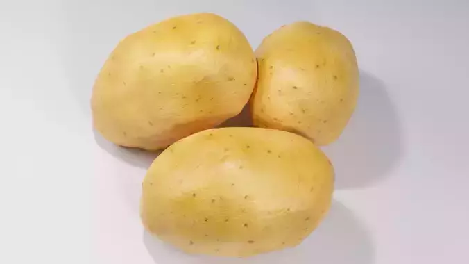 Realistic Potato 3D Model Fresh Vegetable PBR Food Asset Pack Low-poly 3D model 5