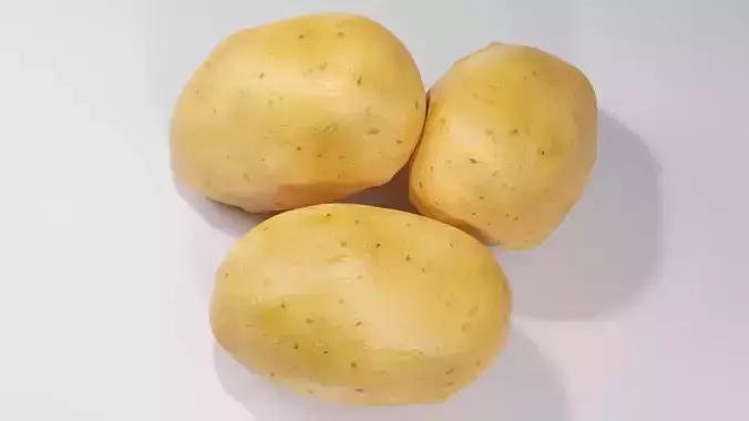 Realistic Potato 3D Model Fresh Vegetable PBR Food Asset Pack Low-poly 3D model 7
