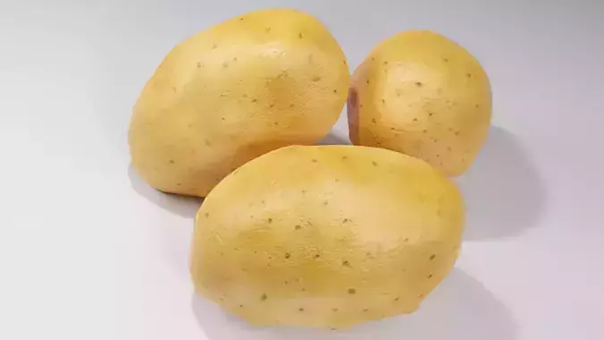 Realistic Potato 3D Model Fresh Vegetable PBR Food Asset Pack Low-poly 3D model 3