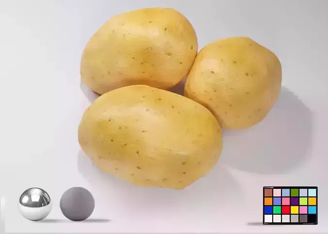 Realistic Potato 3D Model Fresh Vegetable PBR Food Asset Pack Low-poly 3D model