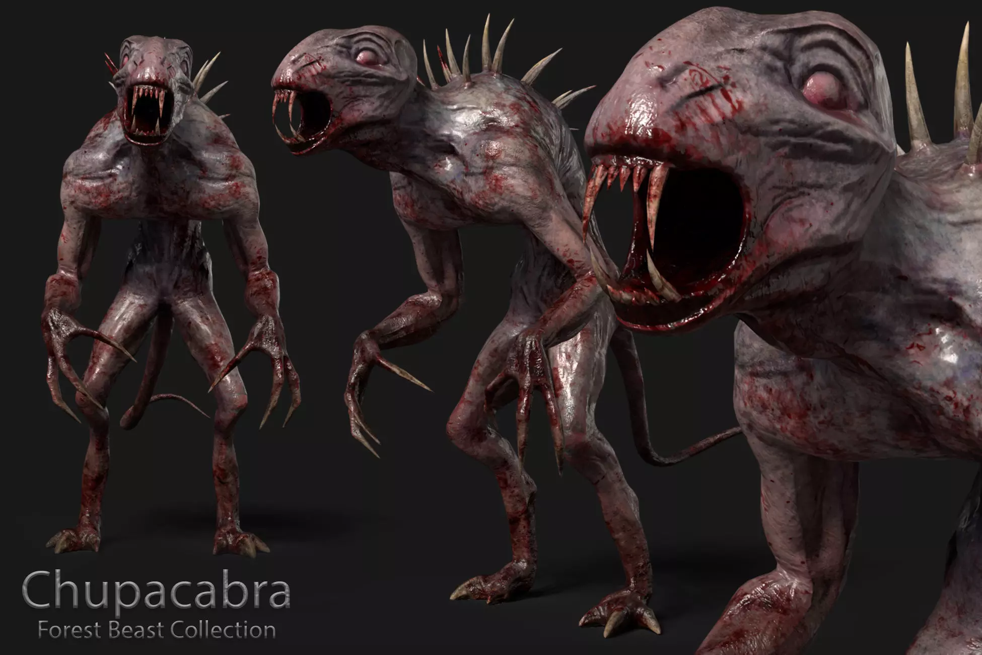 Chupacabra - Forest Beast Collection Low-poly 3D model