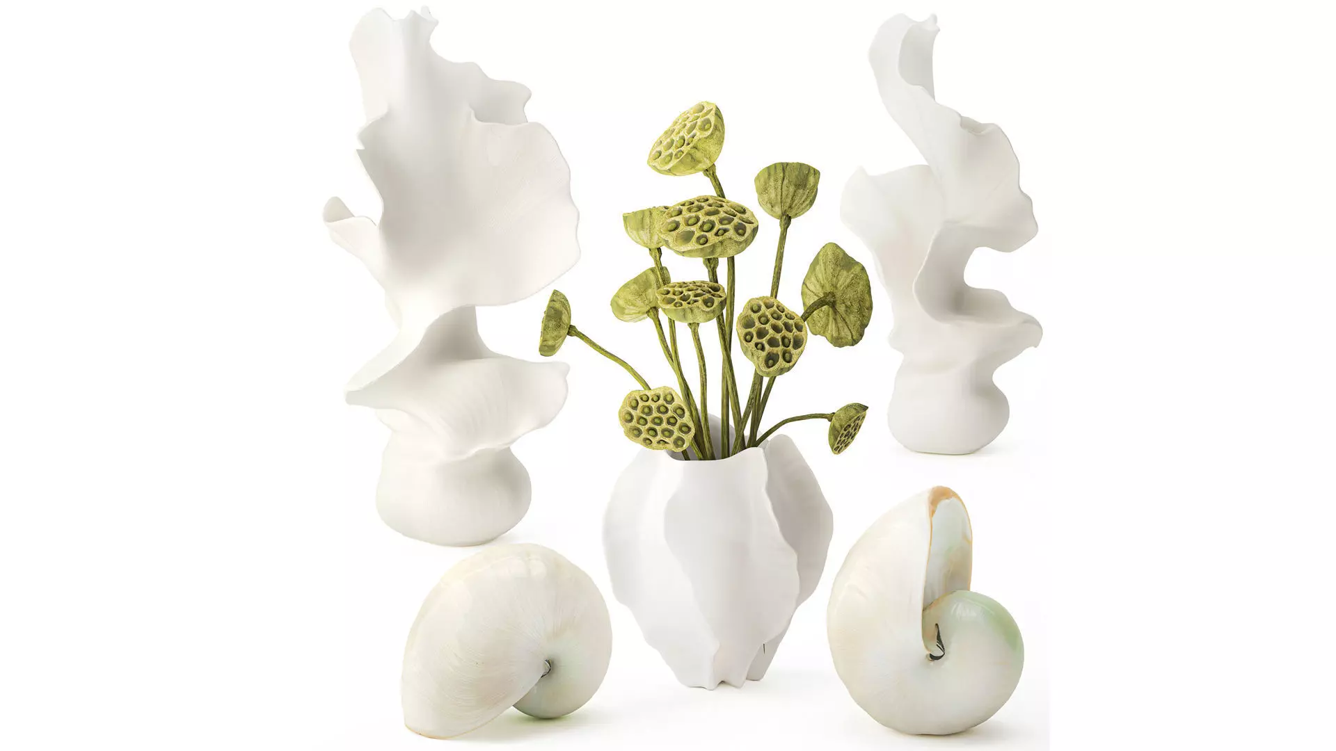 Set vases bouquet dried flowers lotus Nautilus new 3D model