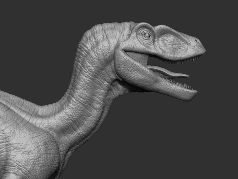 3D Velociraptor dinosaur Low-poly 3D model_14