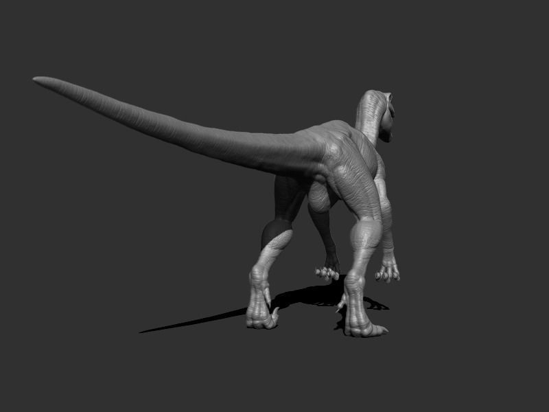 3D Velociraptor dinosaur Low-poly 3D model_13