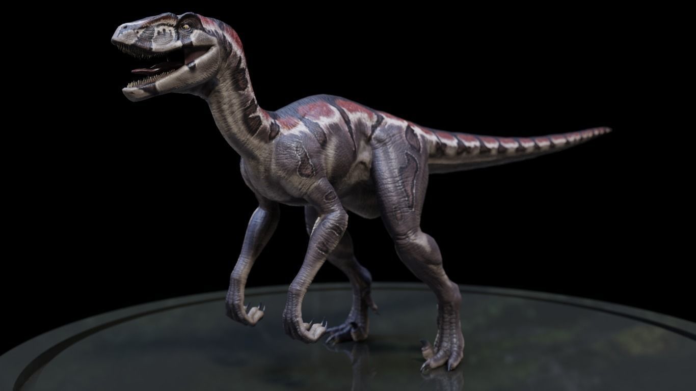 3D Velociraptor dinosaur Low-poly 3D model_2