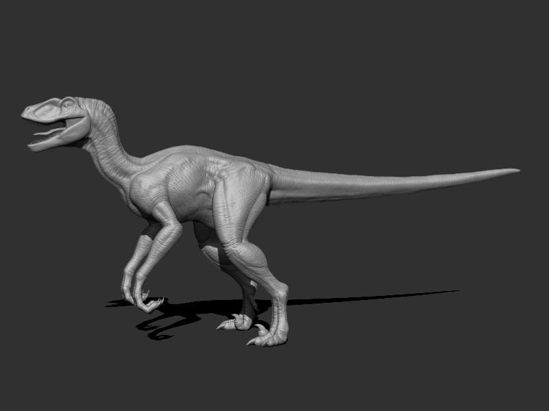 3D Velociraptor dinosaur Low-poly 3D model_10