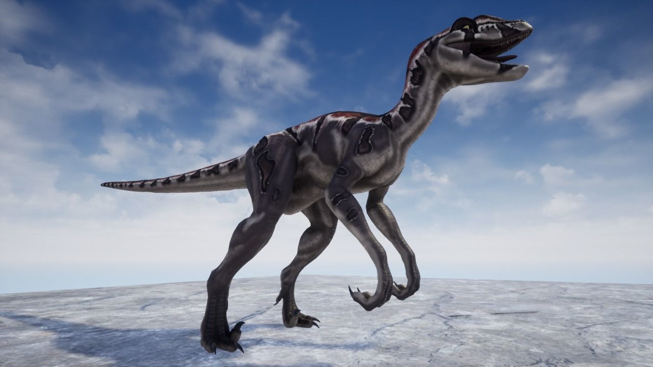 3D Velociraptor dinosaur Low-poly 3D model_6