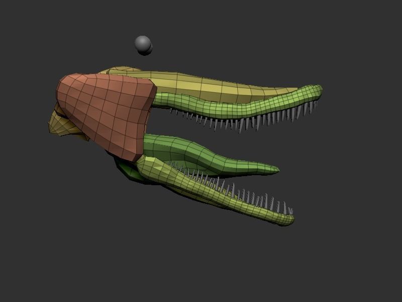 3D Velociraptor dinosaur Low-poly 3D model_20