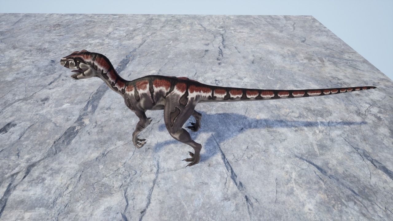 3D Velociraptor dinosaur Low-poly 3D model_4