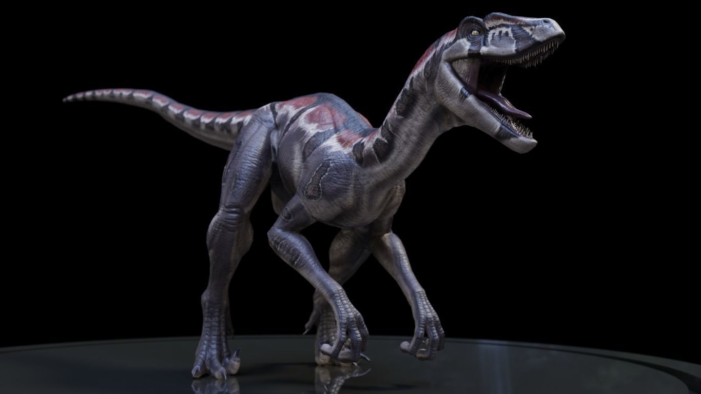 3D Velociraptor dinosaur Low-poly 3D model_1