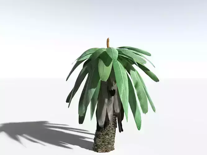 EVERYPlant Bjuvia Simplex