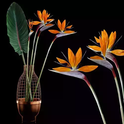 Strilicia in Grid Vase