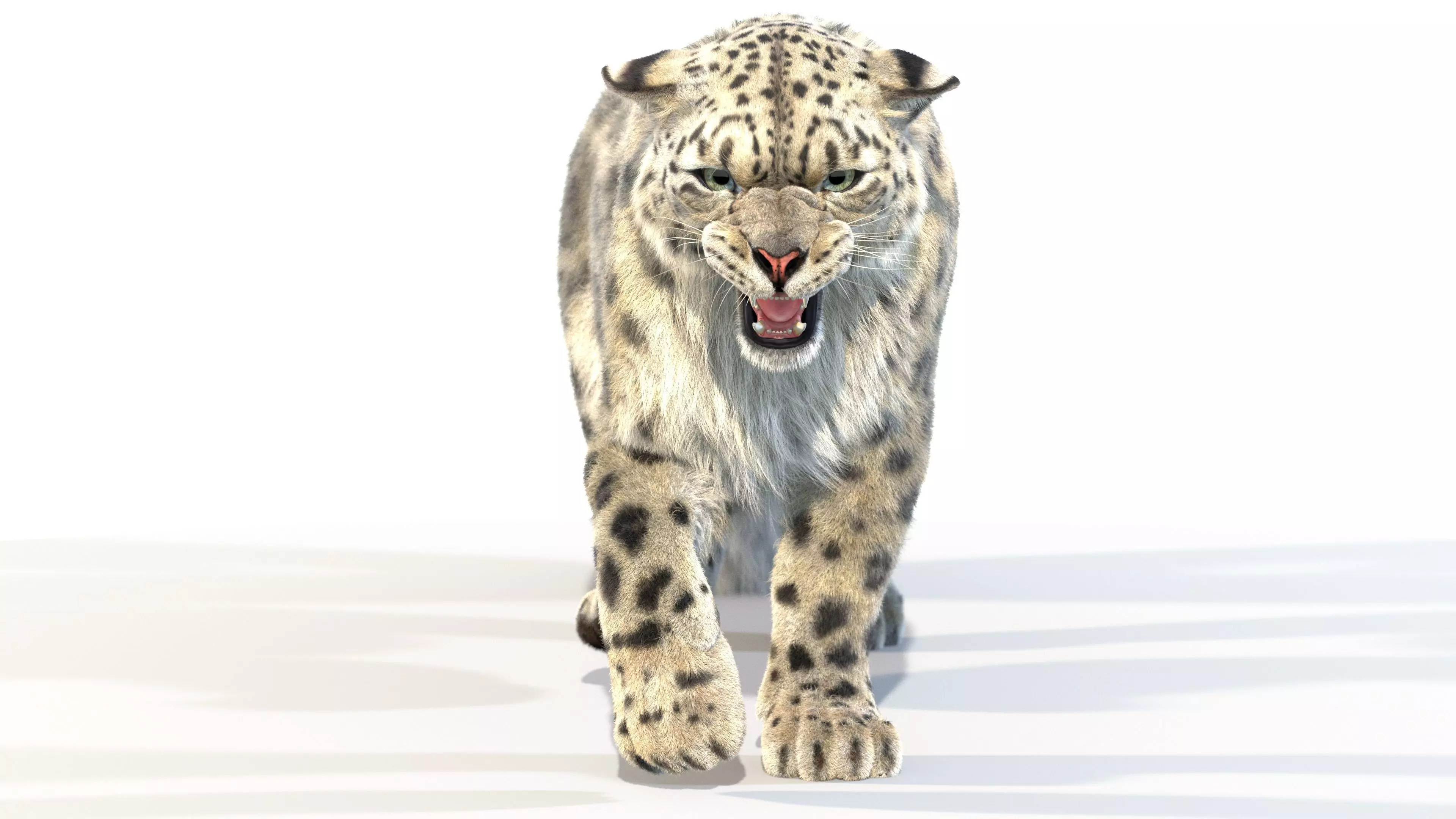 Animated Snow Leopard Fur 3D model