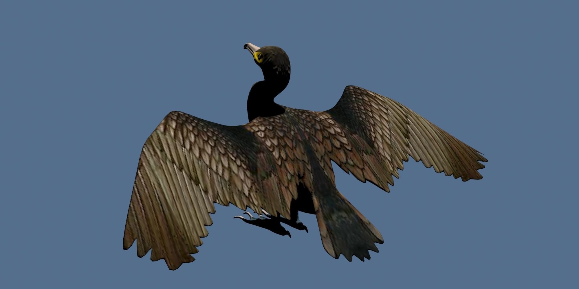Low Poly Cormorant model with wings spread Low-poly 3D model_12