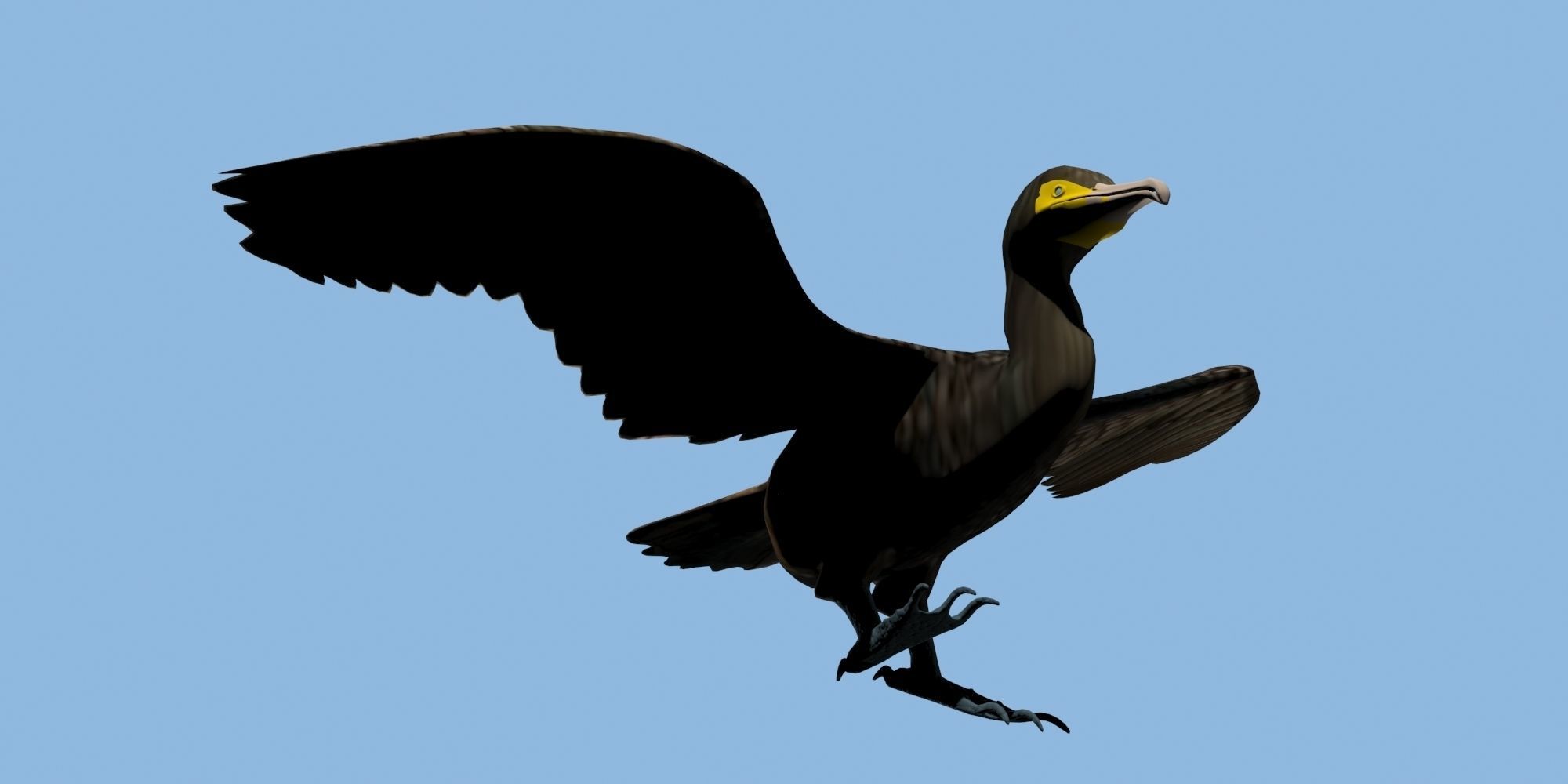 Low Poly Cormorant model with wings spread Low-poly 3D model_13