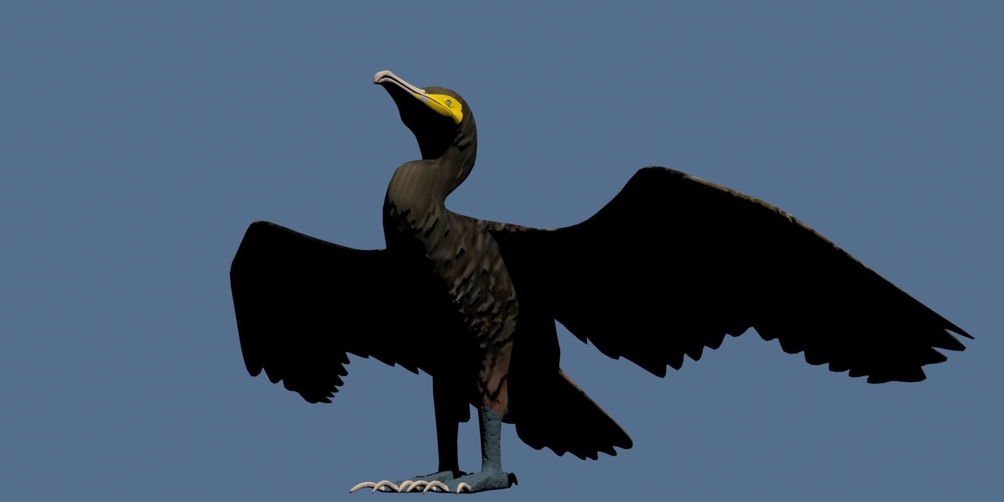 Low Poly Cormorant model with wings spread Low-poly 3D model_8