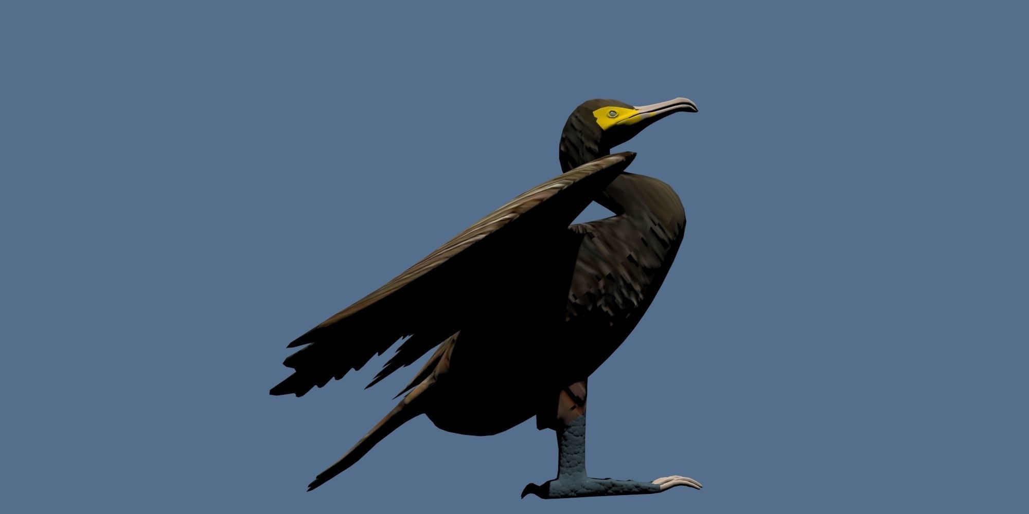 Low Poly Cormorant model with wings spread Low-poly 3D model_10