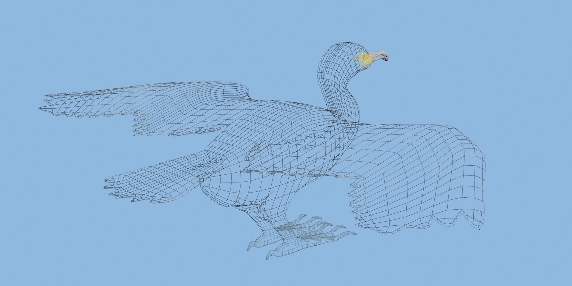 Low Poly Cormorant model with wings spread Low-poly 3D model_7