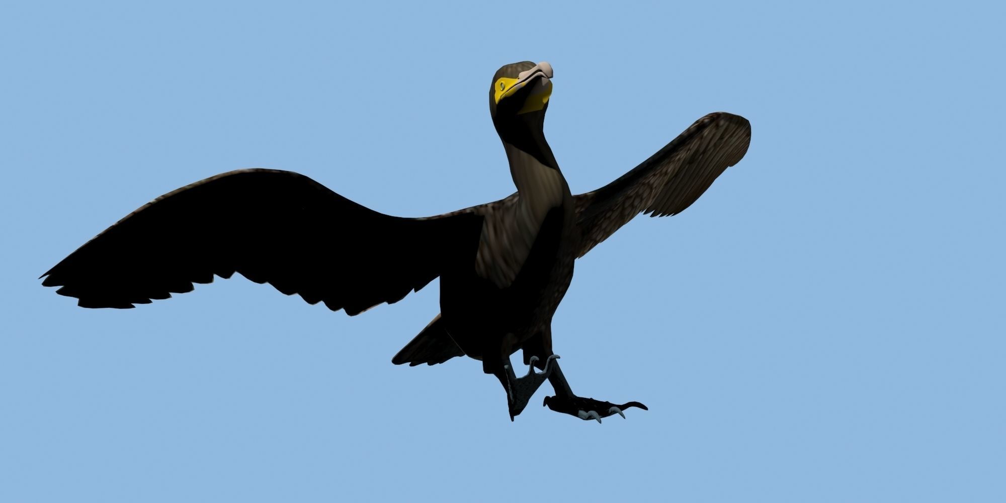 Low Poly Cormorant model with wings spread Low-poly 3D model_14