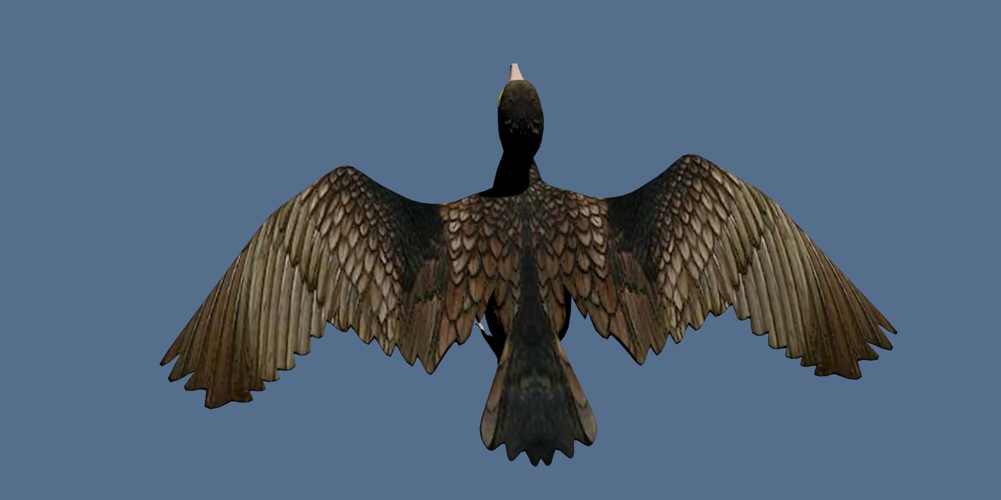 Low Poly Cormorant model with wings spread Low-poly 3D model_11