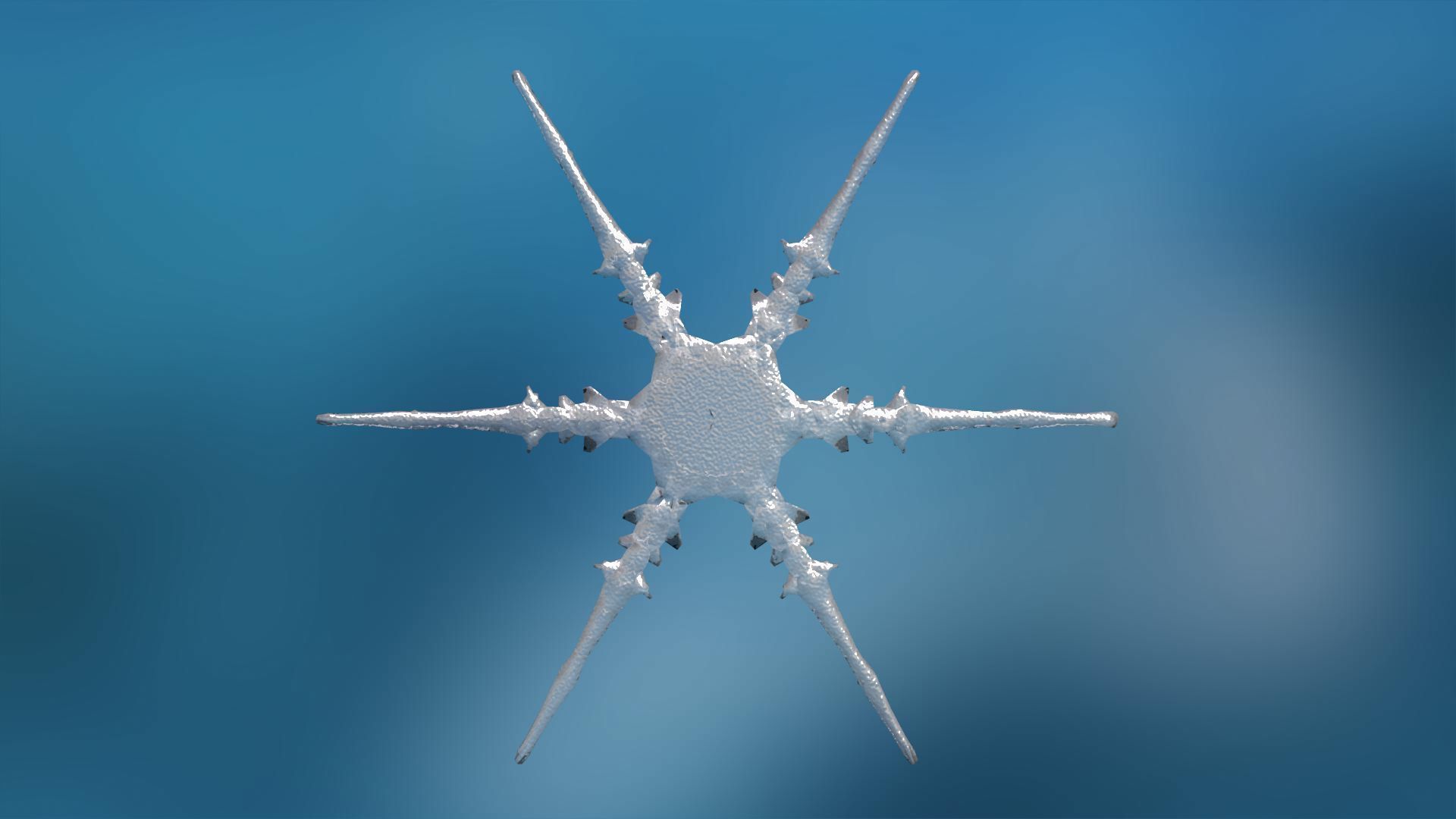 16 Unique Snowflakes Low-poly 3D model_3