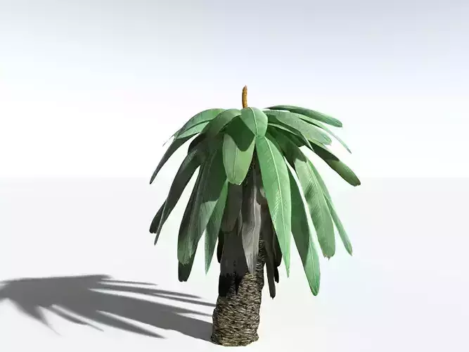 EVERYPlant Bjuvia Simplex LowPoly
