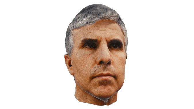 Male Head Scanned Low Poly Low-poly 3D model