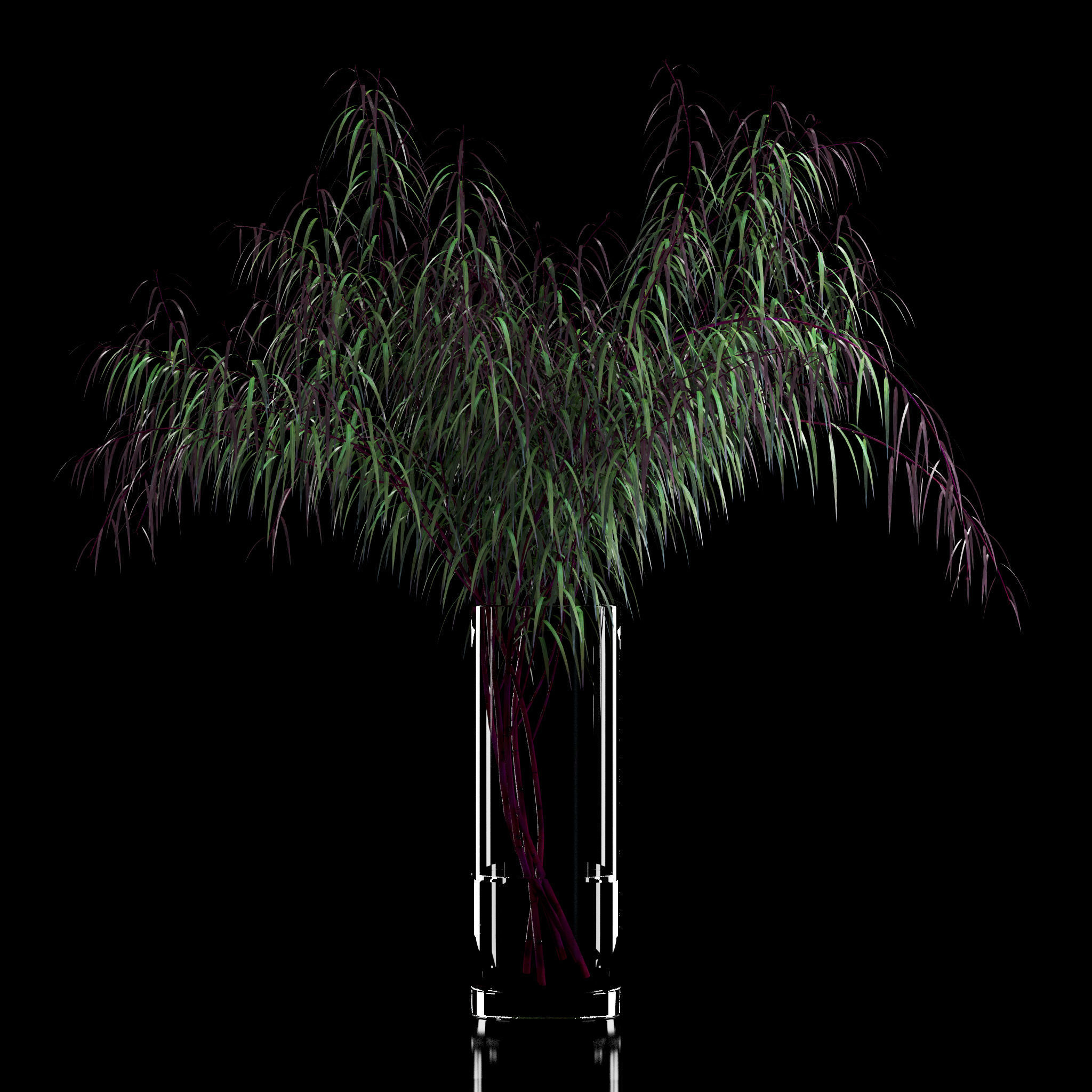 Agonis plant in glass vase 3D model_4