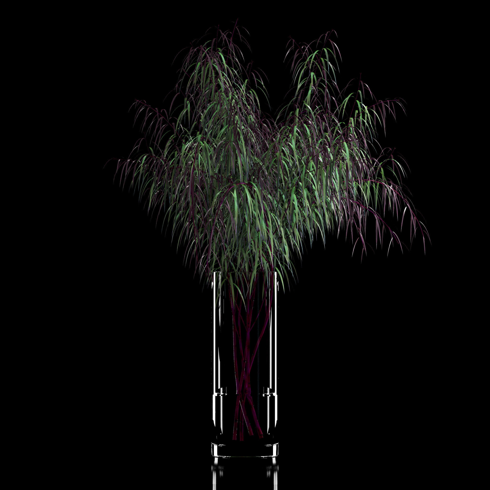 Agonis plant in glass vase 3D model_2