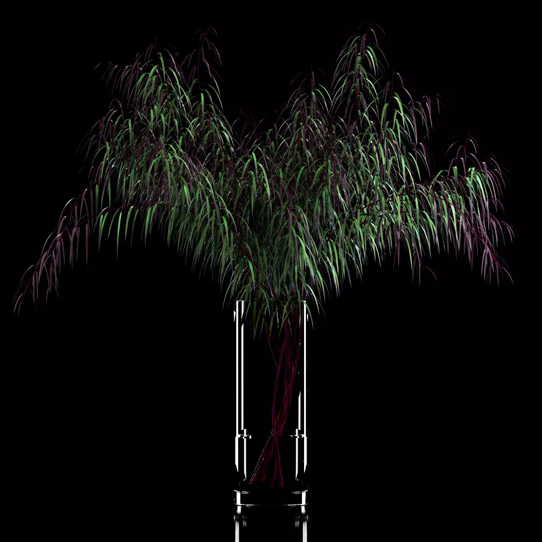 Agonis plant in glass vase 3D model_0